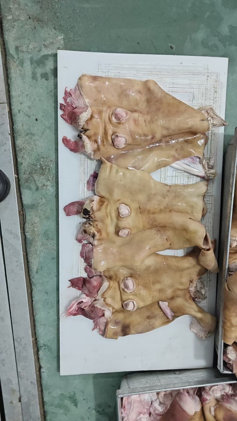 火烧育肥全去骨牛蹄筋