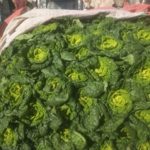 黄心菜
