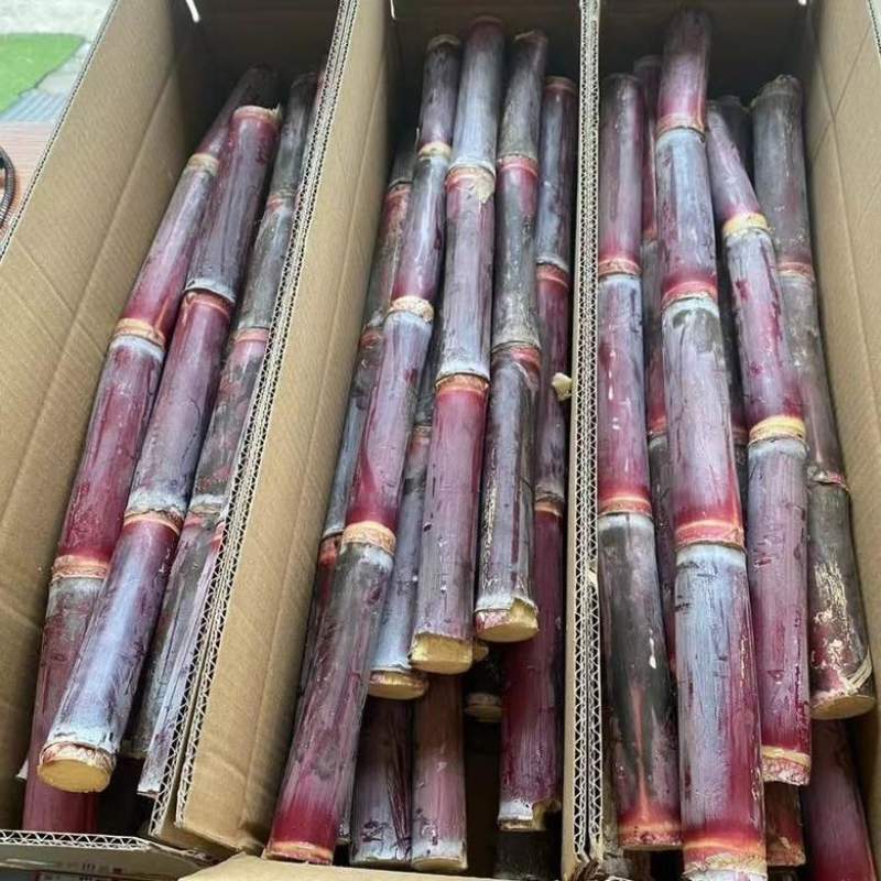贵州红皮甘蔗、支持电商一件代发、社区团购、市场整车产地代办