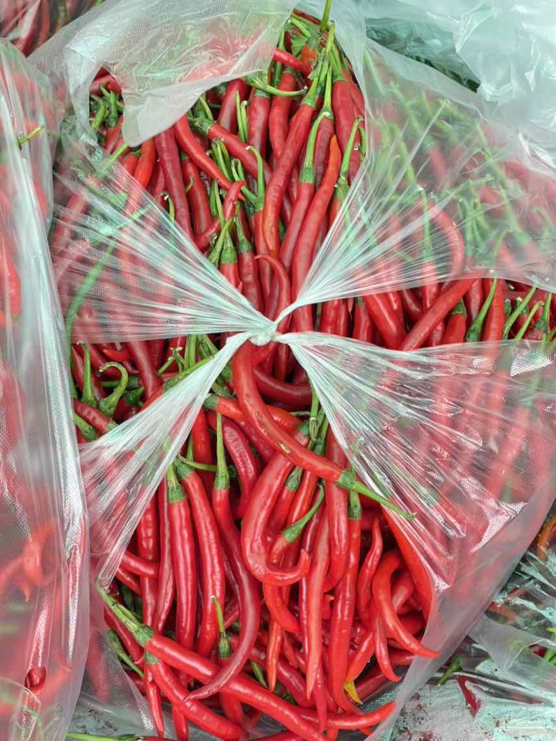 红线椒硬货无酱色全红不烂泡椒货电商