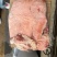 猪副产品直销产品名：天康前上肉规格：10kg猪源：国产