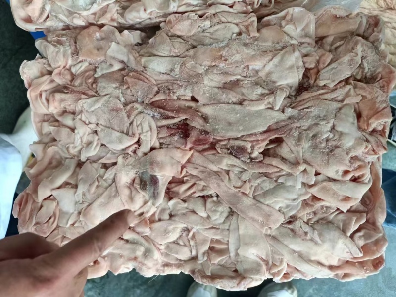 护心肉筋膜