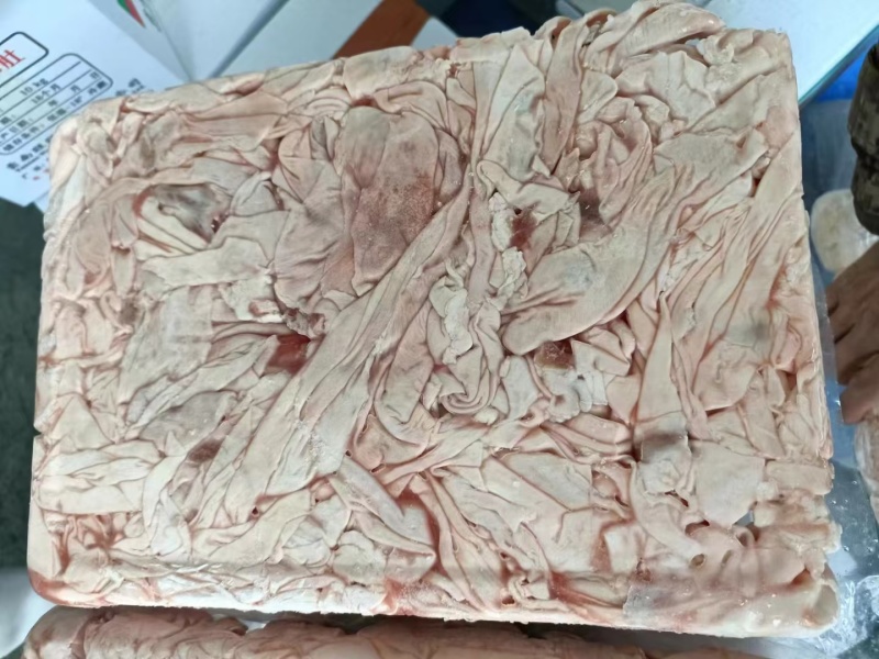 护心肉筋膜