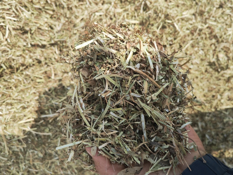 干花生秧