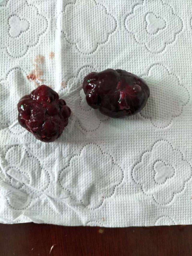 鹅宝