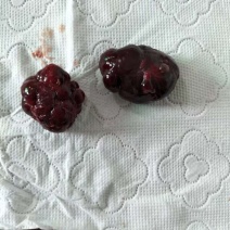 鹅宝