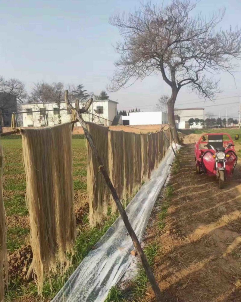 红薯细粉