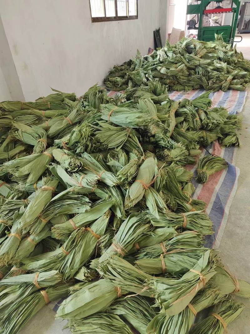 粽粑叶