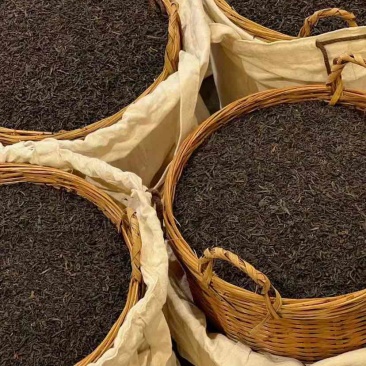 六堡茶大量现货，零售批发