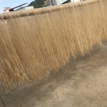 红薯粉丝