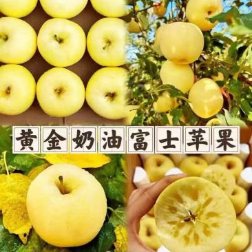 奶油红富士