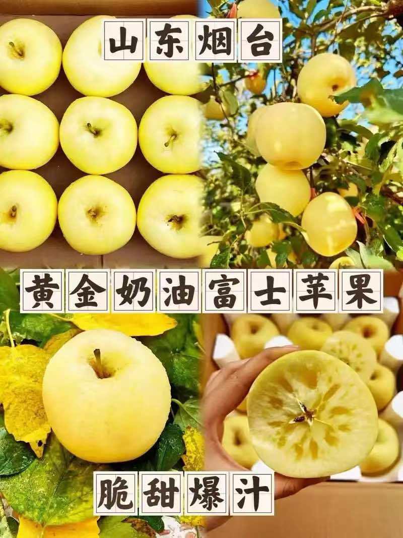 奶油红富士