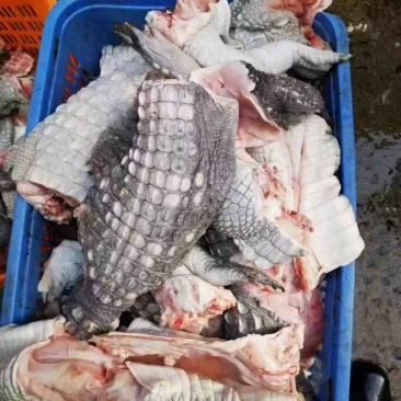 鳄鱼肉