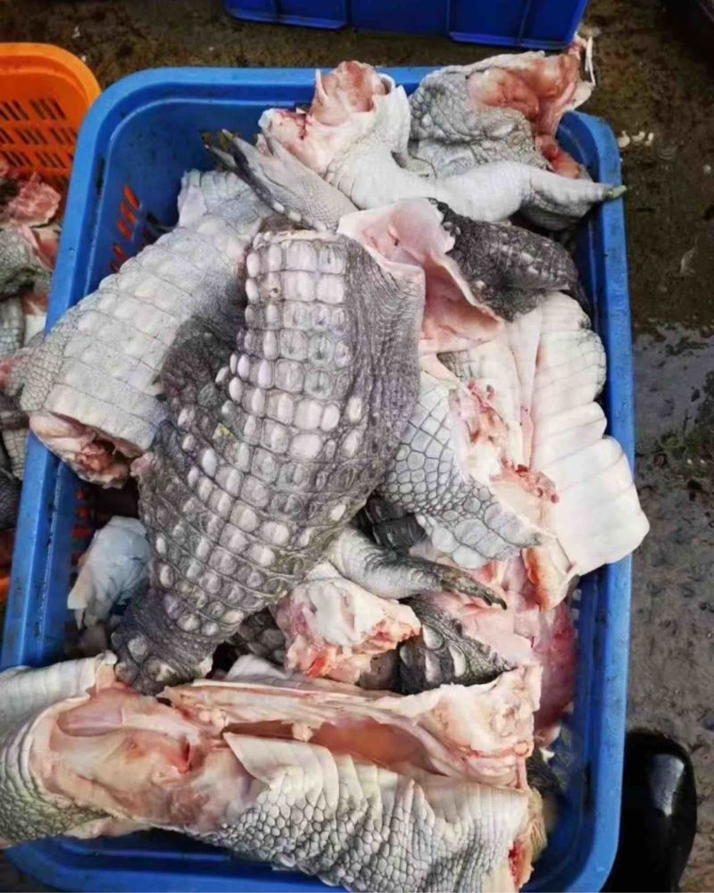 鳄鱼肉