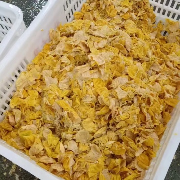 肉鸡内金
