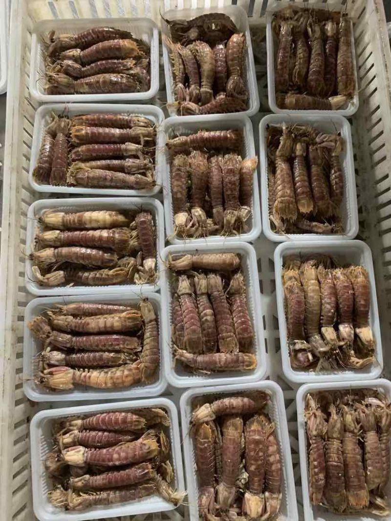 连云港熟冻皮皮虾肉质饱满，欢迎团购微商订制