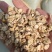 玉米芯：除碎除尘(平茹，金针茹种植，牛肚菌，羊肚菌菌包