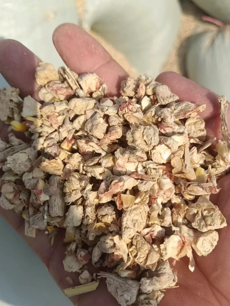 玉米芯：除碎除尘(平茹，金针茹种植，牛肚菌，羊肚菌菌包