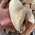 鸡大胸