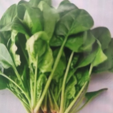 波菜优惠啦