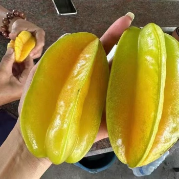潮汕甜杨桃
