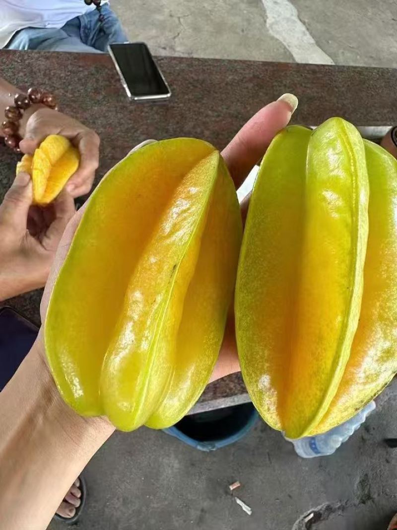 潮汕甜杨桃