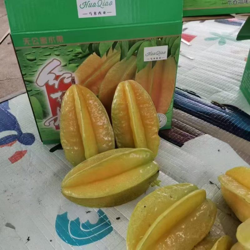 潮汕甜杨桃