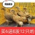 土鸡苗买1000送200优质商家包防疫包运输