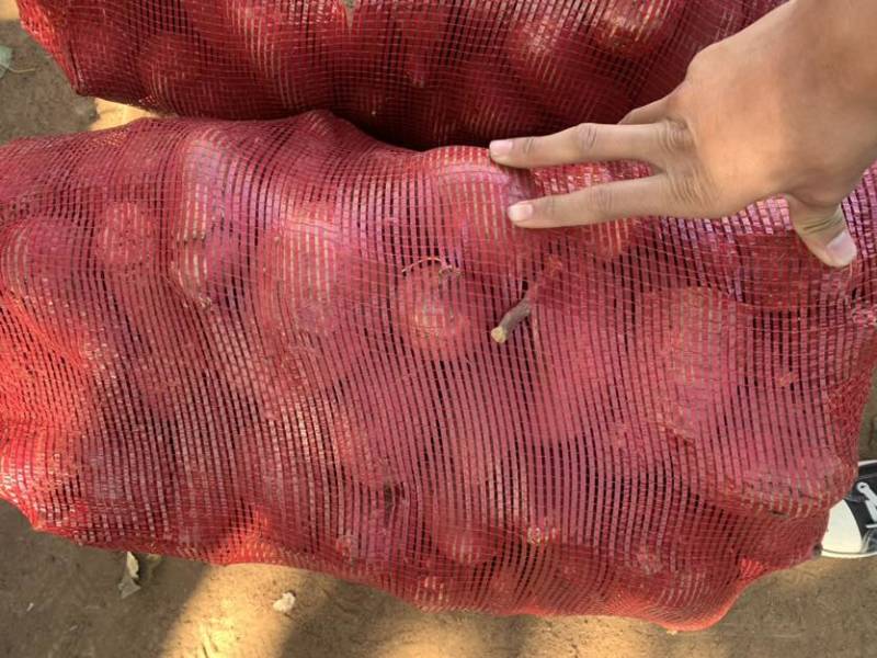 济薯26加工厂4量起半斤起