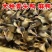 麻鸭苗买1000送200优质商家包防疫包运输