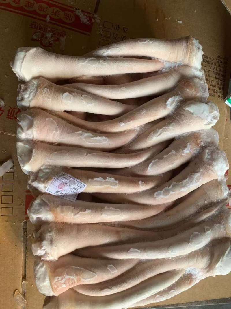 国产标猪长尾