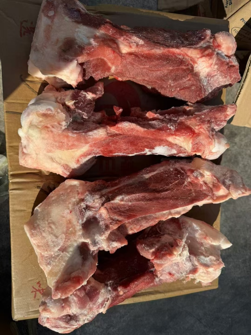 后棒骨
