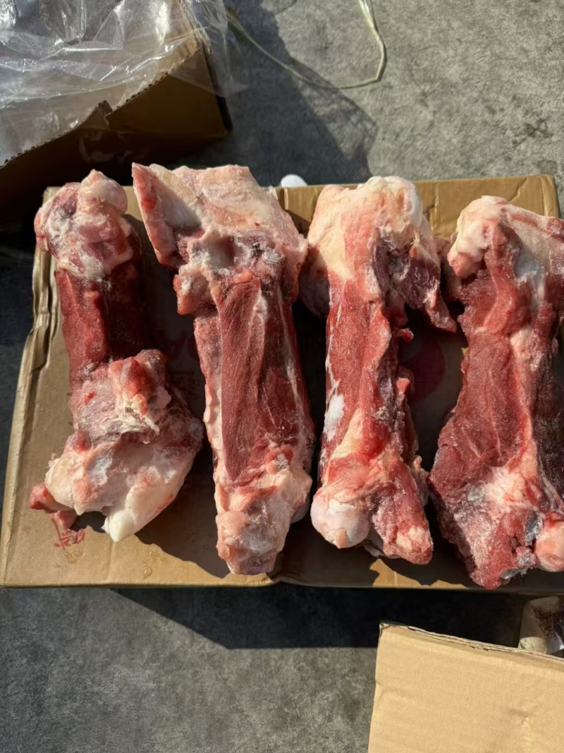 后棒骨