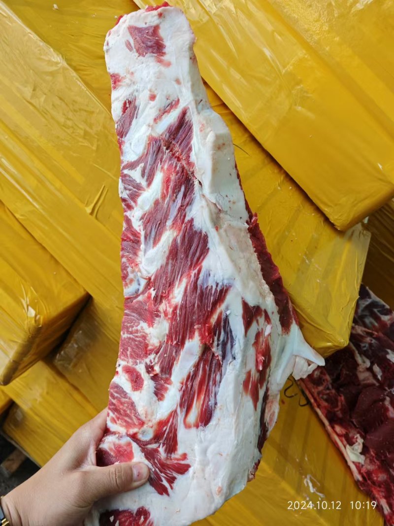牛肩胛骨