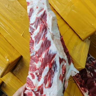 牛脊骨肋眼骨牛胸骨鲜品分割