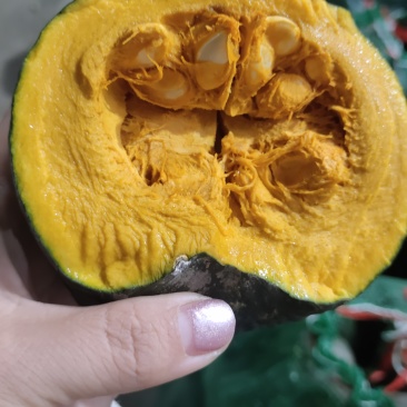 精品老贝贝南瓜有现货，大量发货