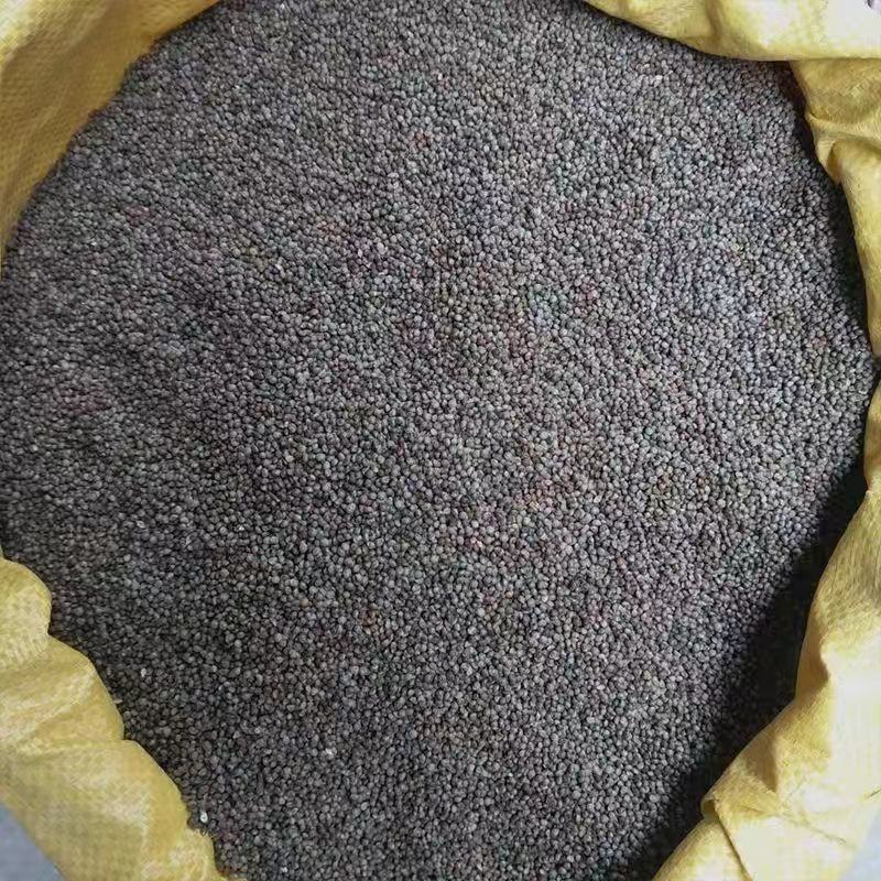 纯野生苏籽，非人工种植