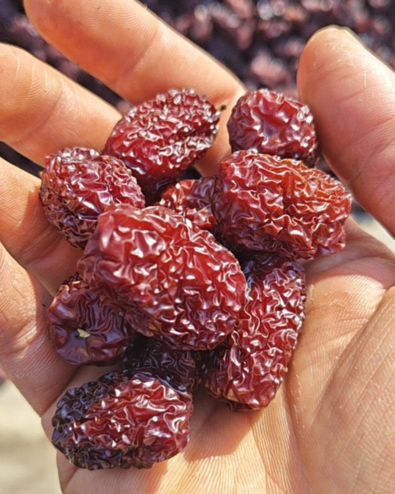 山西吕梁乌黑枣