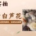 芦花鸡苗诚信商家买1000送200包防疫包运输货到满意付