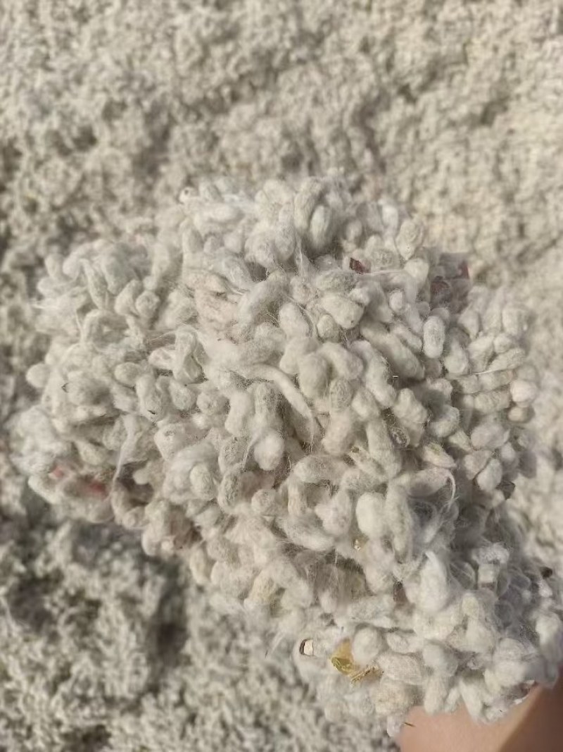 优质棉籽，无霉变