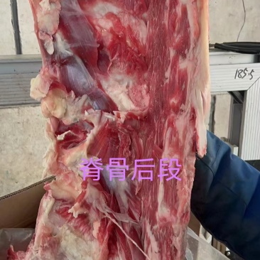 适合自助餐饮首选