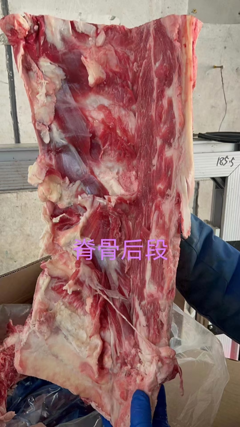 适合自助餐饮首选