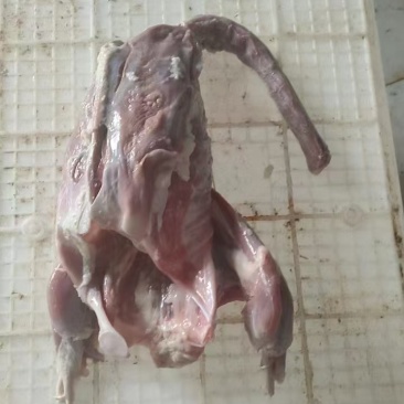 去皮鹅体