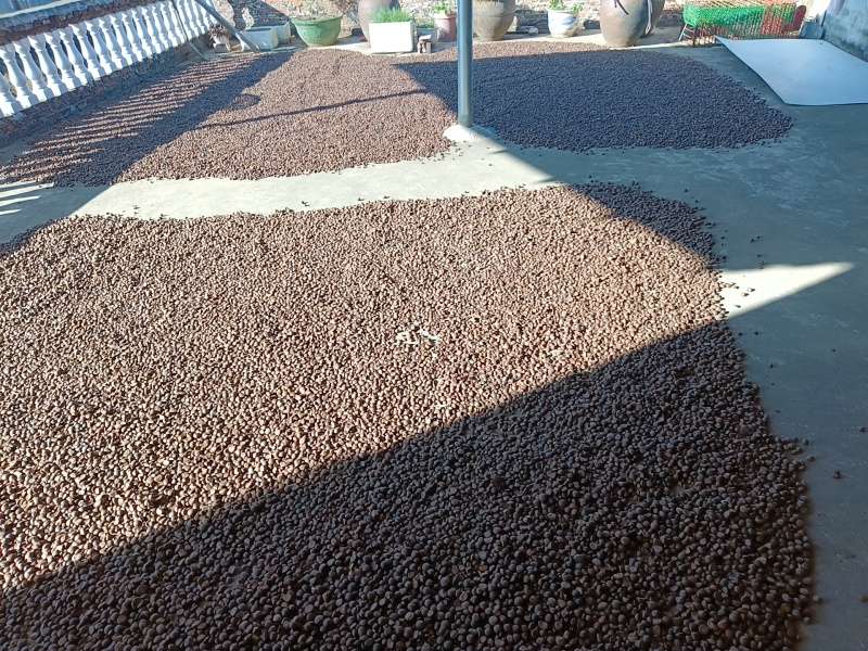 本地正宗山茶籽油，无任何添加，现榨现卖。有需要的联系！