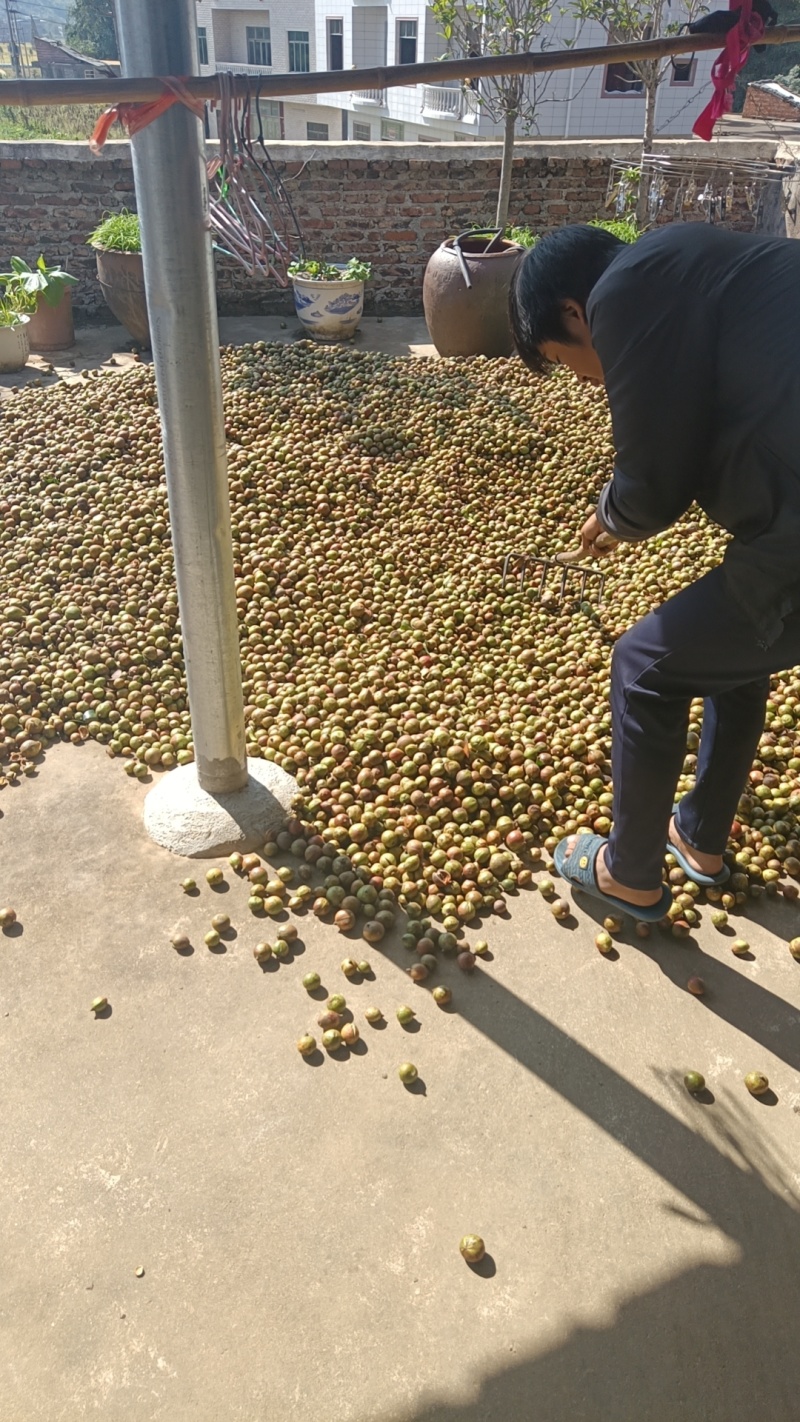本地正宗山茶籽油，无任何添加，现榨现卖。有需要的联系！