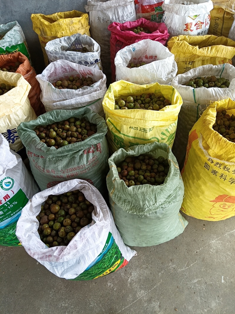 本地正宗山茶籽油，无任何添加，现榨现卖。有需要的联系！