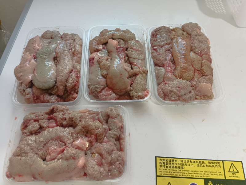 鲤鱼鱼籽鱼泡