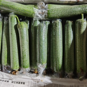 新品丝瓜