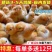 买1000送200三黄鸡苗包防疫包运输送货上门满意付款