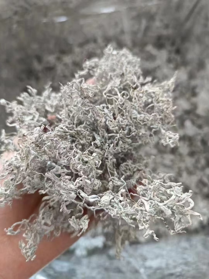 张家界莓茶